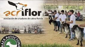 Foto de La raza caprina Florida participará en cuatro certámenes de carácter nacional en 2026