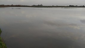 Foto de El sector agr�cola andaluz advierte de los graves da�os causados por el temporal