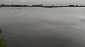 Foto de El sector agrícola andaluz advierte de los graves daños causados por el temporal