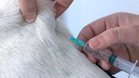 Foto de Evidencia clínica sobre la falta de adecuación de las fichas técnicas de los medicamentos