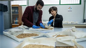 Foto de El COI depositar� por primera vez semillas de olivo en la B�veda Global de Svalbard