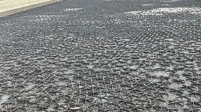 Nueva instalaci�n de Hexa-Cover en una balsa de purines de 1000 m2 de superficie en Lleida