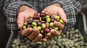 Foto de WOOE y Origin Natura unen fuerzas en Ifema Madrid con l�deres internacionales del aceite de oliva, la salud y la innovaci�n agroalimentaria