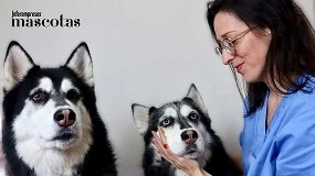 Foto de Alimento seco para perros y gatos: cómo entenderlo y cómo elegirlo con criterio