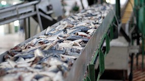 Foto de CONXELAB impulsa una maqueta interactiva para divulgar la cadena de valor de la pesca y la acuicultura