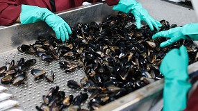 Foto de Nuevas tecnolog�as digitales mejoran la sostenibilidad y la eficiencia en la producci�n de mejill�n y pulpo en Galicia