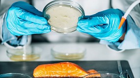 Foto de OPTIPROT impulsa nuevas prote�nas sostenibles y abre oportunidades para la industria del pescado