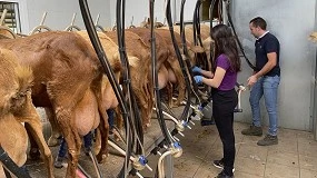 Foto de Cabrama realiza controles lecheros en explotaciones de Cabra Malagueña en toda España