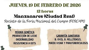 Unos 150 sementales de raza Manchega se subastar�n en Manzanares (Ciudad Real)