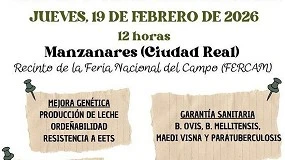 Foto de Unos 150 sementales de raza Manchega se subastarán en Manzanares (Ciudad Real)