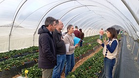 Foto de El Ifapa muestra sus proyectos de investigaci�n en frutos rojos en una jornada en Moguer