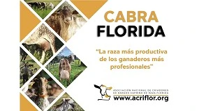 Foto de La raza Florida moderniza su imagen para mostrar los beneficios de la mejora genética