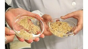 Foto de RISE-SUP transforma subprodutos do arroz em embalagens e suplementos sustent�veis