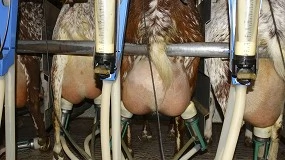 Foto de El control lechero oficial de Castilla y León incluye los datos de seis asociaciones de caprino