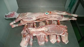 Foto de Mercado Central de Carnes de Madrid - Precios Ovino (Semana 8, 20/2/2026)