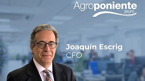 Foto de Grupo Agroponiente nombra a Joaqu�n Escrig Teigeiro nuevo director financiero