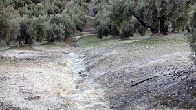 Foto de La Universidad de Córdoba presenta un mapa actualizado de cárcavas en el olivar andaluz