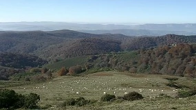 Foto de Una red de 250 GPS para identificar zonas de riesgo sanitario en el pastoreo extensivo