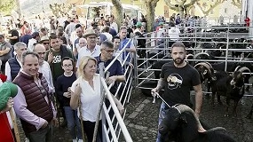 Foto de La cabra del Asón busca reconocimiento oficial para entrar en el catálogo nacional de razas