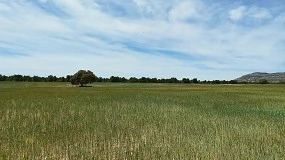 Foto de Castilla y León lanza una nueva línea de ayudas agroambientales y climáticas