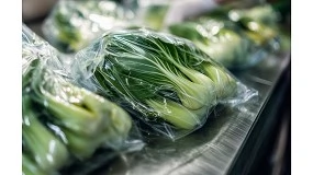 Foto de Clariant obt�m aprova��o da UE para aditivos de cera de farelo de arroz em pl�sticos alimentares