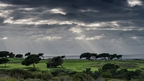 Foto de Futuro � merc� da resili�ncia e capacidade de adapta��o dos agricultores portugueses