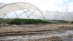 Foto de El Gobierno destina 600 millones de euros a reparar caminos agrarios y regadíos dañados por las borrascas