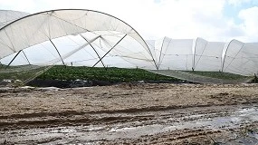 Foto de El Gobierno destina 600 millones de euros a reparar caminos agrarios y regadíos dañados por las borrascas