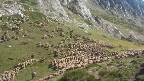 Foto de El proyecto europeo CoCo se suma al A�o Internacional de los Pastizales y los Pastores