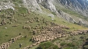 Foto de El proyecto europeo CoCo se suma al Año Internacional de los Pastizales y los Pastores