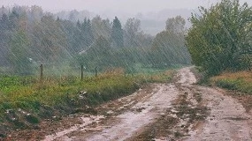 Foto de Ano agr�cola desafiante exige resili�ncia e muito trabalho