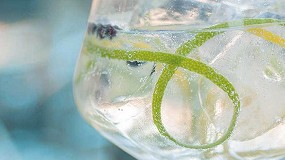 Foto de Sorpresa arom�tica en la destiler�a: el vac�o creativo convierte la ginebra en una aventura del sabor