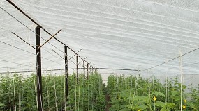 Foto de Reclaman soluciones para la rafia: ayudas pendientes y organizaci�n eficaz de los residuos agr�colas