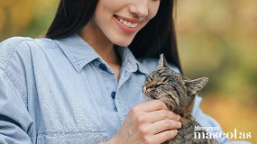 Sanicat refuerza su compromiso con el bienestar a trav�s de una jornada sobre terapia felina