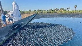 Foto de Hexa-Cover aumenta la seguridad al controlar la proliferación de algas en las balsas de riego