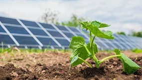 Foto de El regadío y las energías renovables impulsarán el mercado de fincas rústicas en 2026