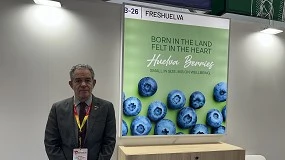 Foto de Entrevista a Rafael Domínguez, gerente de Freshuelva