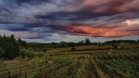 Foto de Preju�zos somam 1,7 milh�es de euros s� no concelho de Alenquer