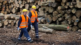 Biomasa: La soluci�n estrat�gica para la descarbonizaci�n industrial