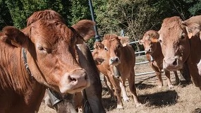 Foto de La Rioja destina 200.000 euros para la adquisición de animales de reposición