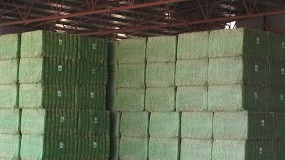 Foto de La guerra en Oriente Medio bloquea las exportaciones de alfalfa española a Emiratos Árabes y Arabia Saudí