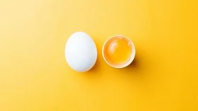 Foto de Onego Bio e Sigma Foods testam prote�na de ovo n�o animal