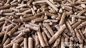 Foto de Dapibus Frass: fertilización orgánica a partir de biotransformación con larvas de mosca Black Soldier Fly