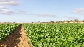 Foto de Horticultura del Sureste: organizar para crecer, digitalizar para decidir