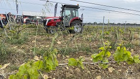 Foto de La guerra en Ir�n dispara el precio del gas�leo y eleva los costes del campo espa�ol