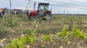 Foto de La guerra en Irán dispara el precio del gasóleo y eleva los costes del campo español