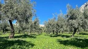 Foto de La agricultura regenerativa: una vía hacia la sostenibilidad y la conservación del suelo