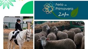 Foto de La Feria de Primavera de Zafra reunirá a más de 600 animales de razas ovinas