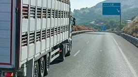 Foto de El sector ganadero teme que se disparen los costes de transporte para la exportación