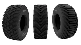 Foto de 60 años de S. José Pneus